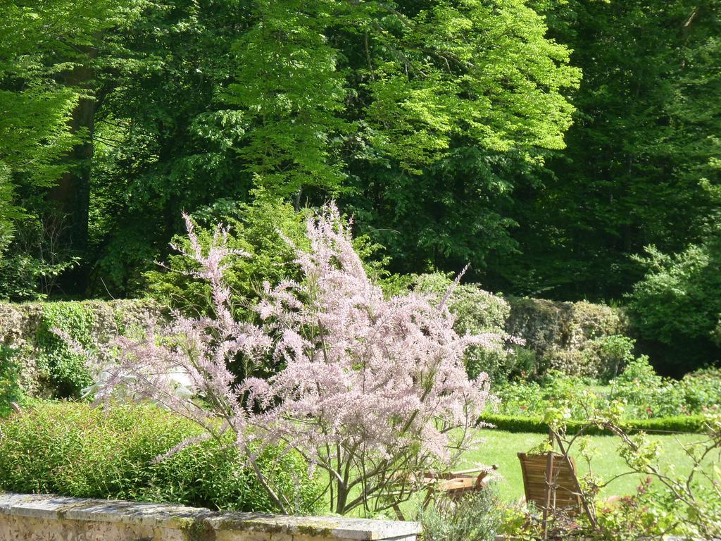 Le Clos Saint Nicolas Bed and Breakfast Château-Renard Esterno foto